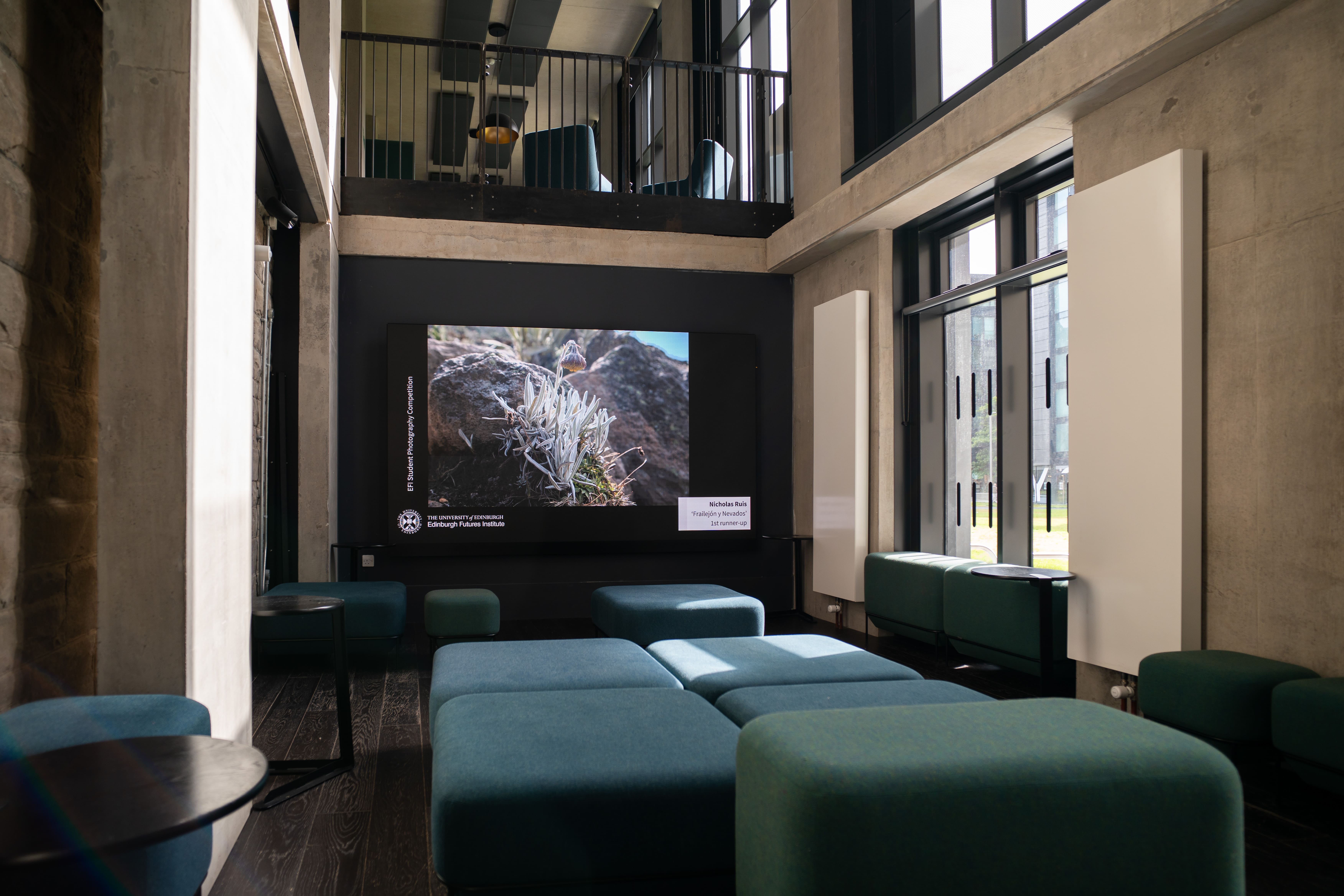 Small LED Display in open room in the sun with seats around it Displaying Flowers